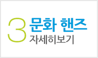 문화핸즈